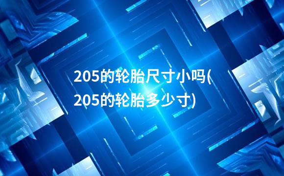 205的轮胎尺寸小吗(205的轮胎多少寸)