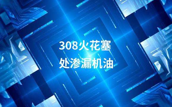 308火花塞处渗漏机油