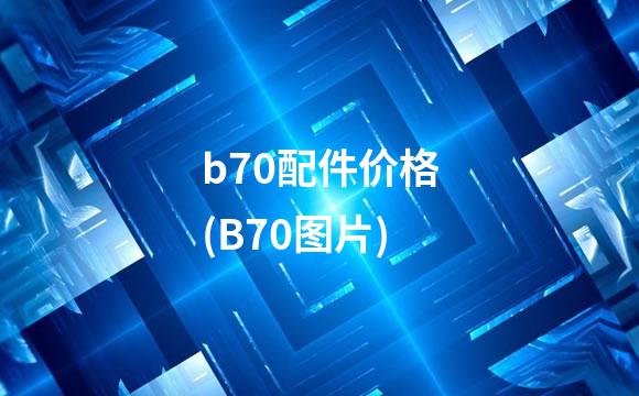 b70配件价格(B70图片)