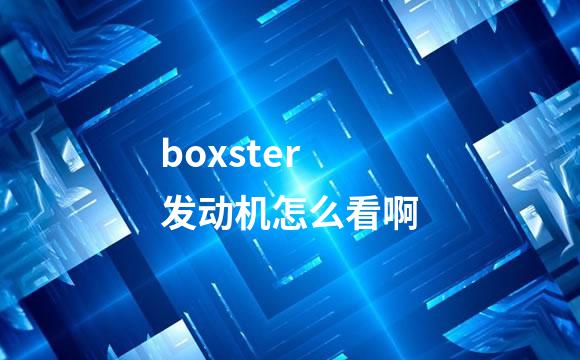 boxster发动机怎么看啊
