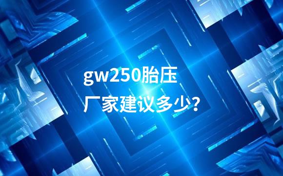 gw250胎压厂家建议多少？