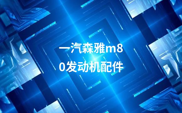 一汽森雅m80发动机配件
