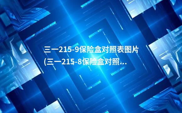 三一215-9保险盒对照表图片(三一215-8保险盒对照表图片)