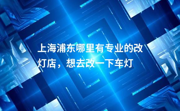 上海浦东哪里有专业的改灯店，想去改一下车灯
