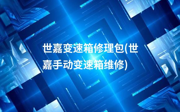 世嘉变速箱修理包(世嘉手动变速箱维修)