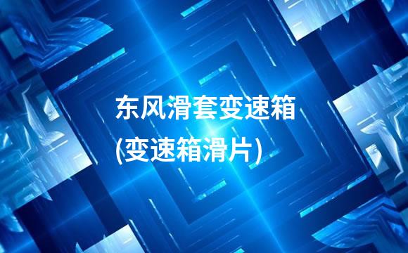 东风滑套变速箱(变速箱滑片)