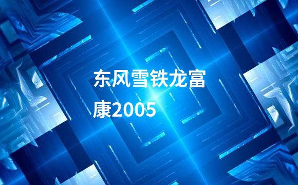 东风雪铁龙富康2005
