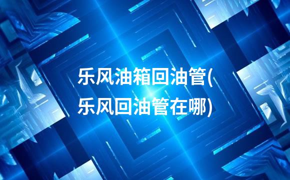 乐风油箱回油管(乐风回油管在哪)