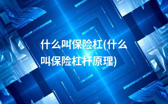 什么叫保险杠(什么叫保险杠杆原理)