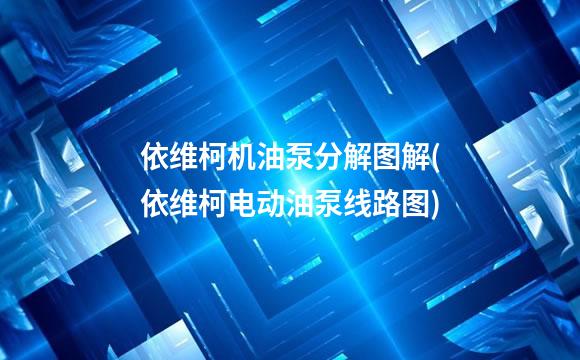 依维柯机油泵分解图解(依维柯电动油泵线路图)
