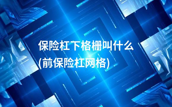 保险杠下格栅叫什么(前保险杠网格)