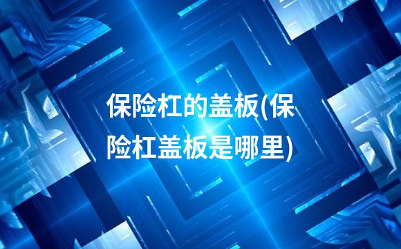保险杠的盖板(保险杠盖板是哪里)