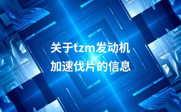 关于tzm发动机加速伐片的信息