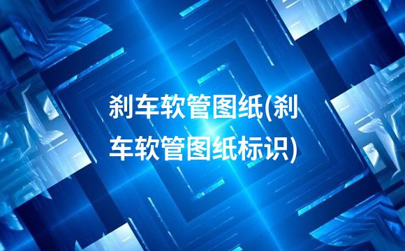 刹车软管图纸(刹车软管图纸标识)
