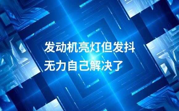 发动机亮灯但发抖无力自己解决了