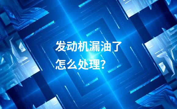 发动机漏油了怎么处理？