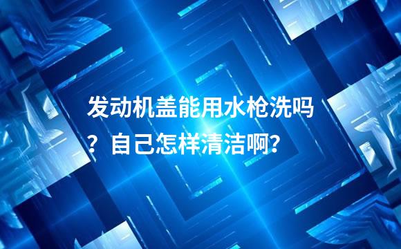 发动机盖能用水枪洗吗？自己怎样清洁啊？