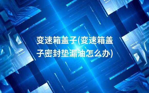 变速箱盖子(变速箱盖子密封垫漏油怎么办)