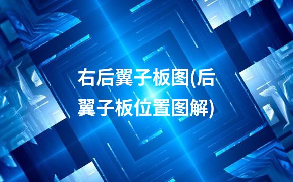 右后翼子板图(后翼子板位置图解)