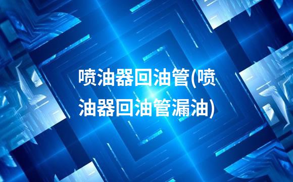 喷油器回油管(喷油器回油管漏油)