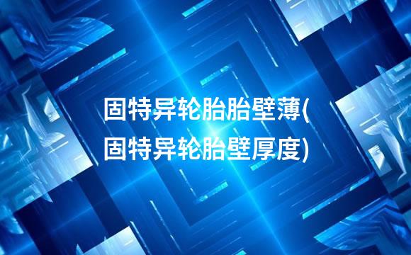 固特异轮胎胎壁薄(固特异轮胎壁厚度)