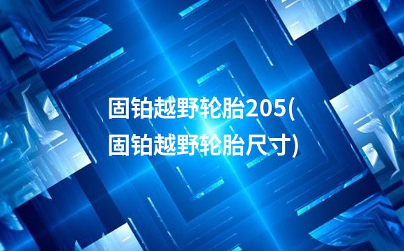 固铂越野轮胎205(固铂越野轮胎尺寸)