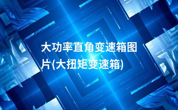 大功率直角变速箱图片(大扭矩变速箱)