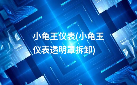 小龟王仪表(小龟王仪表透明罩拆卸)