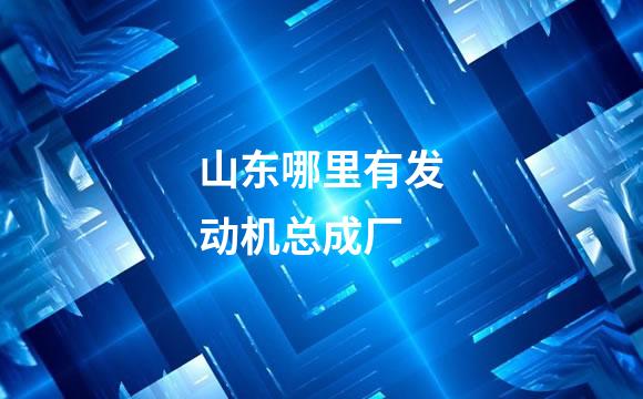 山东哪里有发动机总成厂