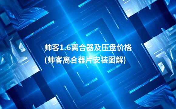 帅客1.6离合器及压盘价格(帅客离合器片安装图解)