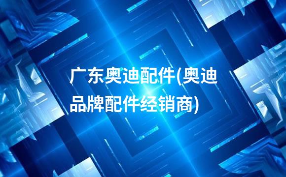 广东奥迪配件(奥迪品牌配件经销商)