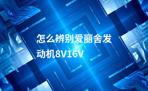 怎么辨别爱丽舍发动机8V16V