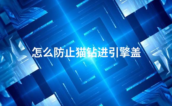 怎么防止猫钻进引擎盖