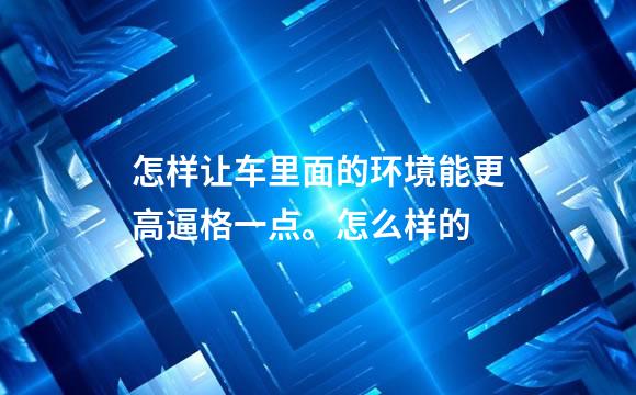 怎样让车里面的环境能更高逼格一点。怎么样的