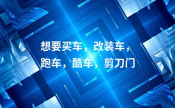 想要买车，改装车，跑车，酷车，剪刀门