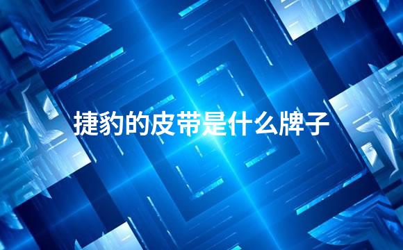 捷豹的皮带是什么牌子