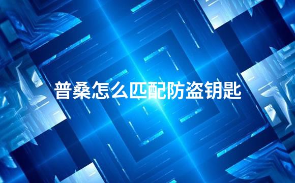 普桑怎么匹配防盗钥匙
