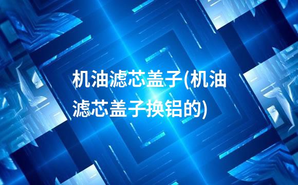 机油滤芯盖子(机油滤芯盖子换铝的)