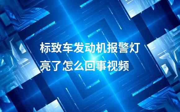 标致车发动机报警灯亮了怎么回事视频