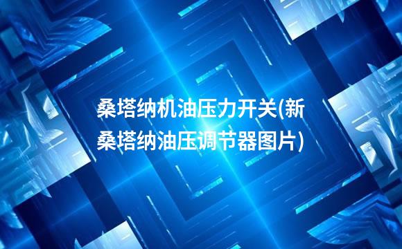 桑塔纳机油压力开关(新桑塔纳油压调节器图片)