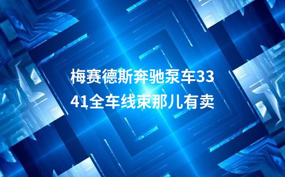 梅赛德斯奔驰泵车3341全车线束那儿有卖