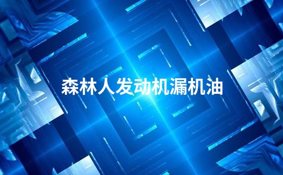 森林人发动机漏机油
