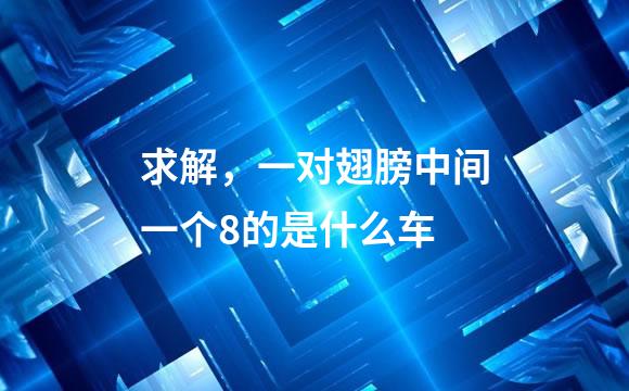 求解，一对翅膀中间一个8的是什么车