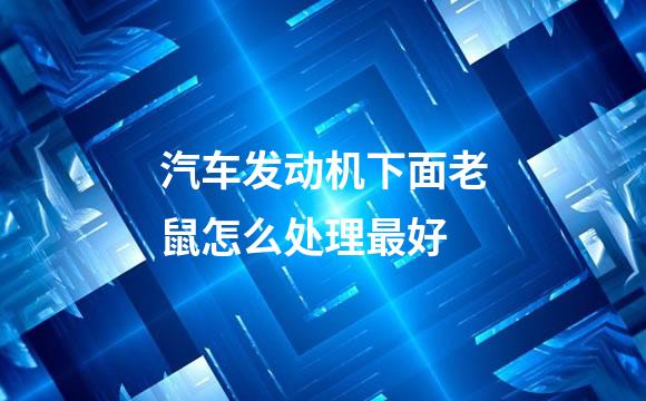 汽车发动机下面老鼠怎么处理最好