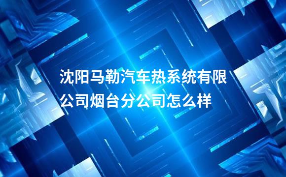 沈阳马勒汽车热系统有限公司烟台分公司怎么样