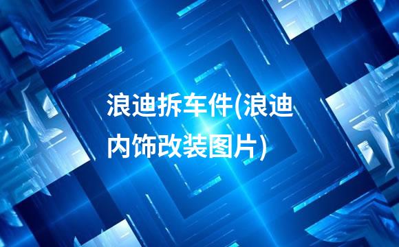 浪迪拆车件(浪迪内饰改装图片)