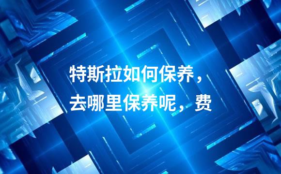 特斯拉如何保养，去哪里保养呢，费