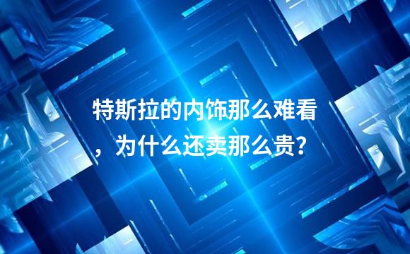特斯拉的内饰那么难看，为什么还卖那么贵？