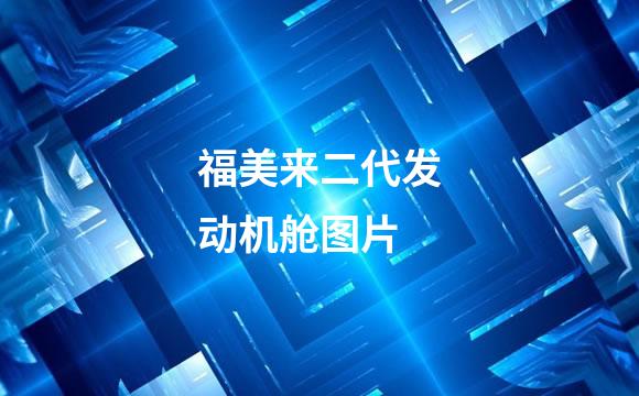 福美来二代发动机舱图片