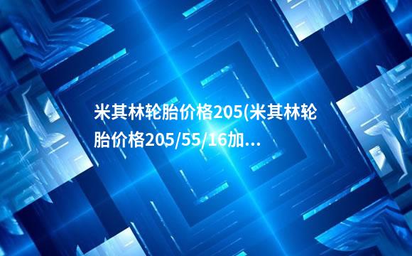 米其林轮胎价格205(米其林轮胎价格205/55/16加多少气压)